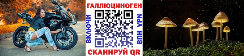 Купить закладки  Монино  Псилоцибиновые грибы MAGIC MUSHROOMS 